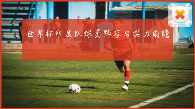 世界杯印度队球员阵容与实力前瞻