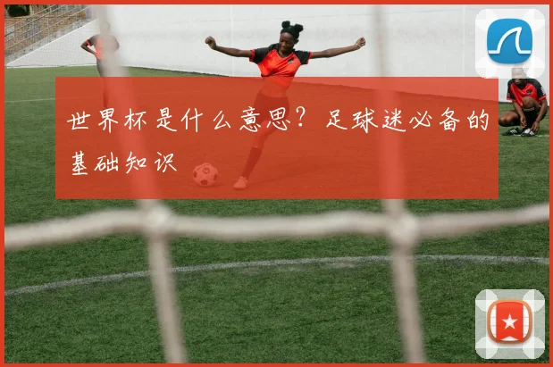世界杯是什么意思？足球迷必备的基础知识