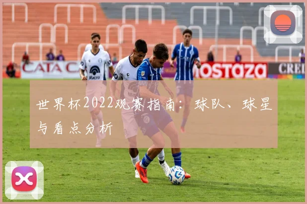 世界杯2022观赛指南：球队、球星与看点分析