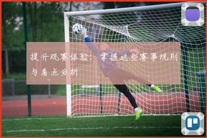 提升观赛体验:掌握这些赛事规则与看点分析